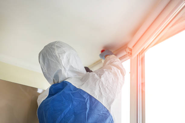 Best Asbestos and Lead Testing During Mold Inspection  in High Springs, FL